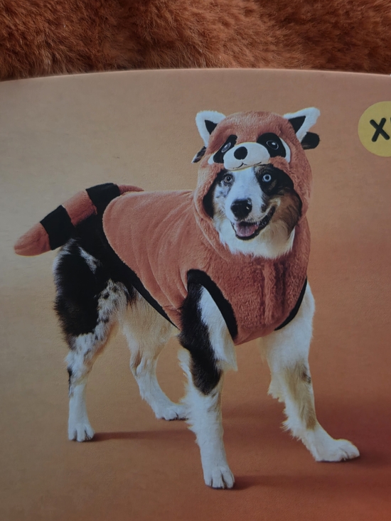 Boots & Barkley Other - Boots & Barkley Plush Orange Fox Dog Costume with Black Accents